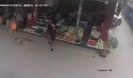 澄海最新事件爆料信息,揭秘背后真相与影响